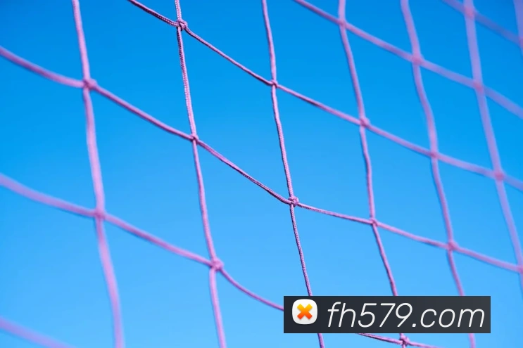凤凰彩票品牌故事